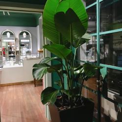 点击看大图 -OOAK设计师品牌概念店(新乐路店)