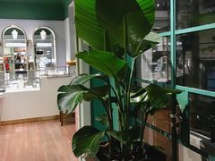 -OOAK设计师品牌概念店(新乐路店)