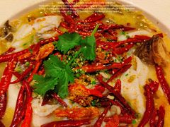 招牌酸菜鱼-胡桃里音乐酒馆(白云五号T5 MALL店)
