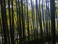 -宝岩生态观光园