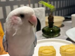 -陶兰居·香港饭店·海鲜大排档(圆融时代广场店)