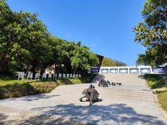 -广东惠东海龟国家级自然保护区