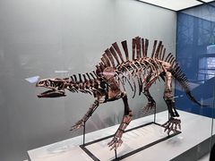 -湖南省地质博物馆