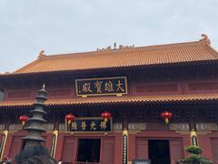 -深圳仙湖植物园-停车场
