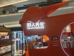-野人先生现做冰淇淋(北京王府井东方新天地店)