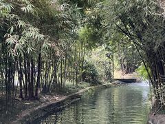 -望江楼公园