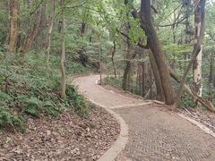 -灵岩山风景区