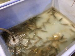 -芭提雅Amporn Seafood自助餐厅