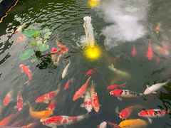 -濮园 · 四合院餐厅