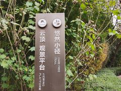 -天目湖涵田度假村