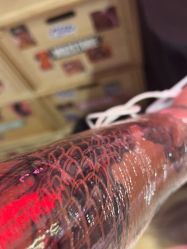 -MDZ STORE·TATTOO·耳饰