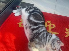 -有才叔的小馆(招商依云曲江店)