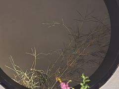 -江南雅厨(李公堤店)