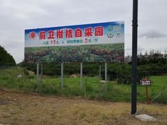 -上海长兴岛郊野公园