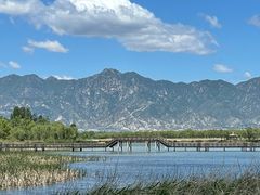-野鸭湖国家湿地公园