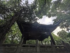 -汇龙潭