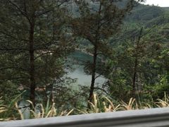 -四明山国家森林公园
