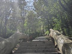 -金龙寺国家森林公园