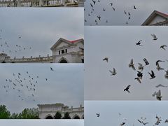 -朝阳公园