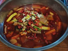 -铁山坪森林公园