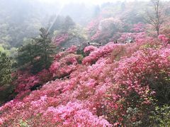 -木兰云雾山