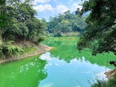 -广州市流溪河国家森林公园