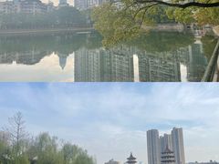 -宝岛公园