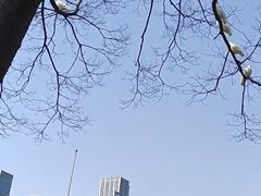 -人民广场