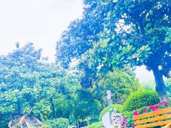 -上海鲜花港