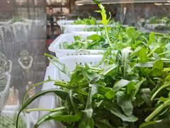 -攀枝花野菜铜火锅(万科凯德店)