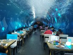 大堂-海棠湾洲际-涛·海底餐厅·美人鱼·自助餐·海底隧道