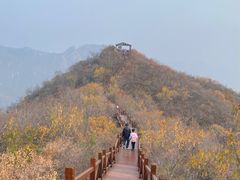 -大岭沟猕猴桃谷风景区