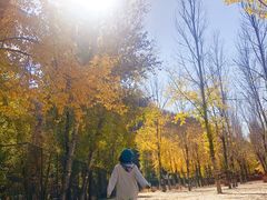 -仙居谷风景区