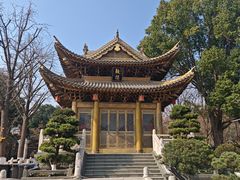 -上海东林寺(金山区)
