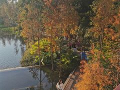 -云溪植物园