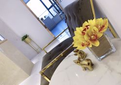 -MIVI野生眉纹绣纹眉