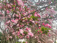 -元大都城垣遗址公园