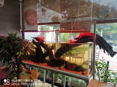 -北京七子郎韵普洱(通怀路店)