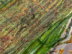 -伊隆斋(什刹海店)