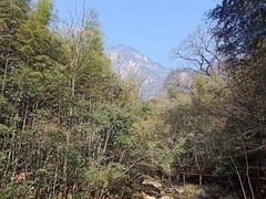 -祁门牯牛降观音堂风景区