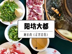 正宗阳坊涮肉-阳坊大都涮羊肉(阳坊总店)