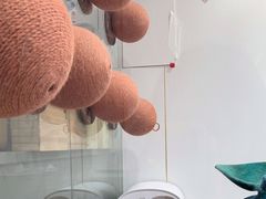-极木²邸 人与宠物·互动社区