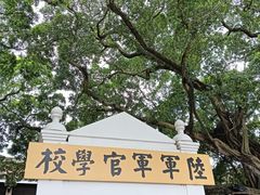 -长洲岛