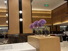 -南京金丝利喜来登酒店