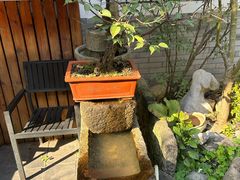 -古韵餐厅(湖畔大学店)