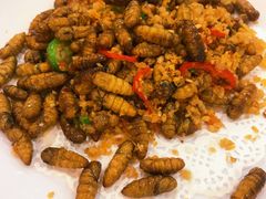 椒盐蝉蛹-益健海鲜大食坊(拱北口岸店)