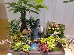 -秦岭欢乐世界