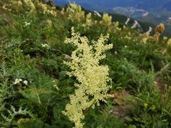 -白草畔自然风景区