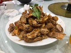 -双井轩(双井店)