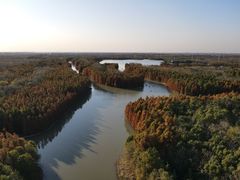 -上海海湾国家森林公园